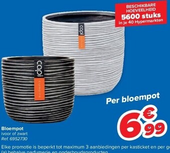 Bloempot