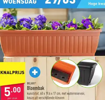 ALDI Belavi Bloembak aanbieding