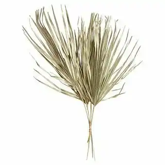Kwantum Palmblad 5 Stuks Goud aanbieding
