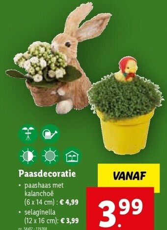 Paasdecoratie nr. 58412 - 139768