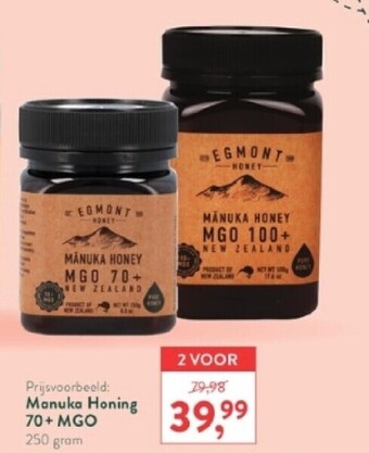 Holland & Barrett Manuka honing 70+ mgo 250 gram aanbieding