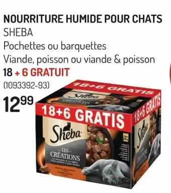 Nourriture Humide Pour Chats