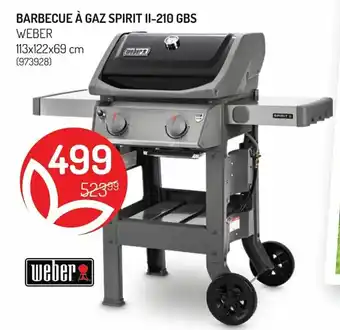 Barbecue A Gaz Spirit II-210 GBS