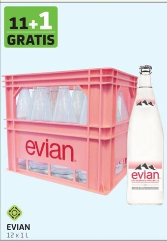 Evian 12x1L