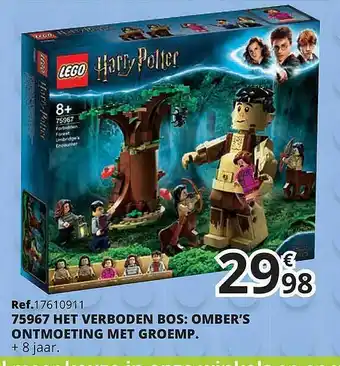 Lego Harry Potter Het Verboden Bos: Omber's Ontmoeting Met Groemp