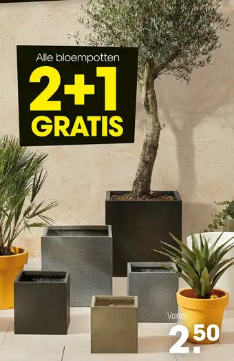 Kwantum Alle Bloempotten 2+1 Gratis aanbieding