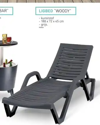 Hubo Ligbed "woody 188 x 72 x 45cm (900868) aanbieding