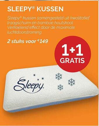 Sleepy Kussen 1+1 Gratis
