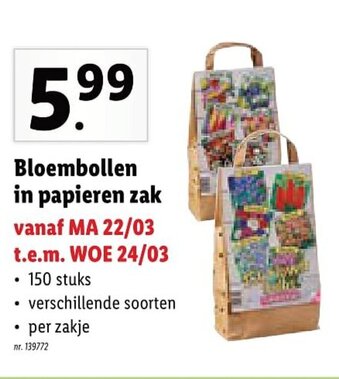 Lidl Bloembollen in papieren zak aanbieding