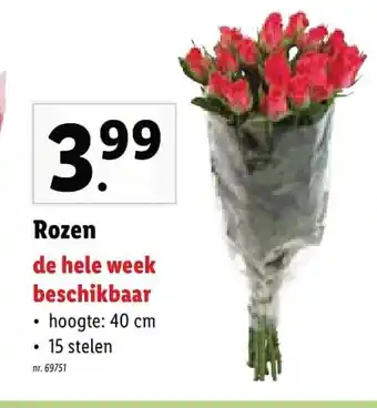 Lidl Rozen de hele week beschikbaar aanbieding