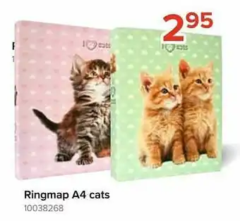 Ringmap a4 cats