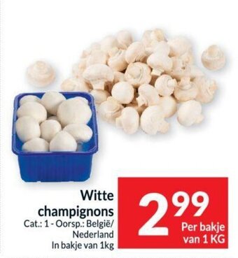 Witte champignons per bakje van 1 kg