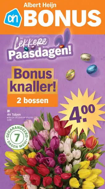 Albert Heijn Tulpen 2 bossen aanbieding