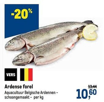 Makro Ardense forel aanbieding