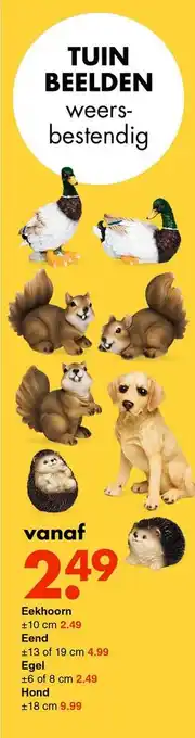 Eekhoorn, Eend, Egel, Hond