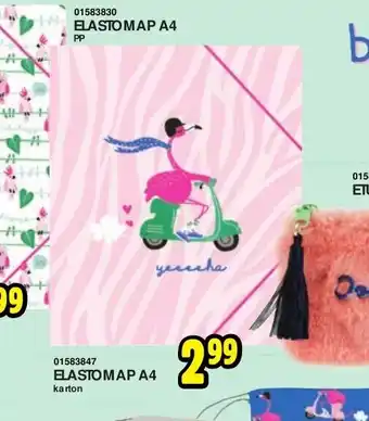 Elastomap A4 01583847 Karton