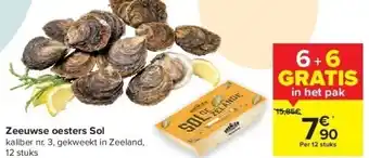 Zeeuwse oesters sol