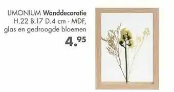 Limonium wanddecoratie