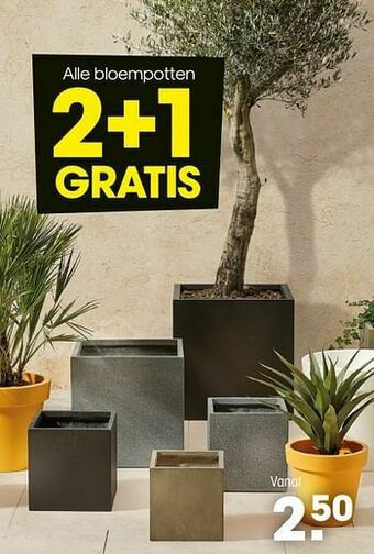 Kwantum Bloempotten aanbieding