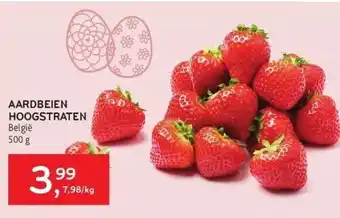 Alvo Aardbeien hoogstraten belgië 500 g aanbieding