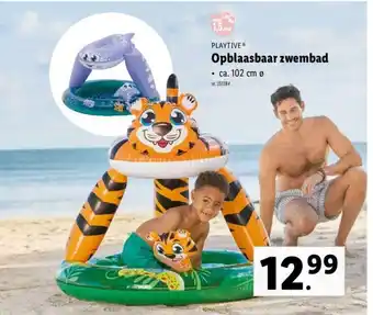 Opblaasbaar Zwembad 102 cm