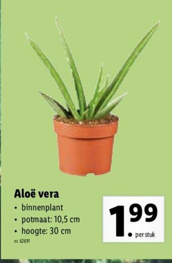 Lidl Aloe Vera aanbieding