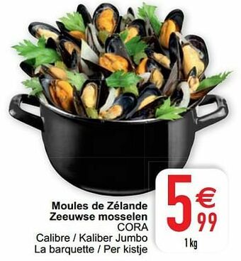 Cora Moules de zélande zeeuwse mosselen cora aanbieding
