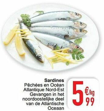 Cora Sardines aanbieding