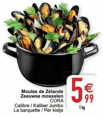 Cora Moules de zélande zeeuwse mosselen cora aanbieding