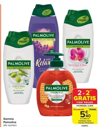 Carrefour Gamma palmolive aanbieding