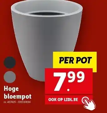 Lidl Hoge bloempot aanbieding