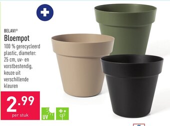 ALDI Belavi Bloempot aanbieding