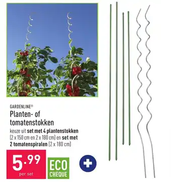 ALDI Gardenline Planten- of Tomatenstokken aanbieding