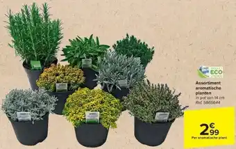 Carrefour Assortiment aromatische planten aanbieding