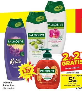 Carrefour Gamma palmolive aanbieding