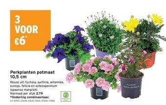 GAMMA Perkplanten potmaat 10,5 cm aanbieding