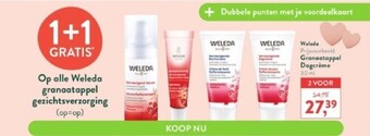 Granaatappel dagcrème 30 ml