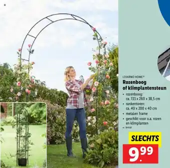 Lidl Livarno home rozenboog of klimplantensteun aanbieding