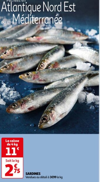 Auchan Sardines aanbieding