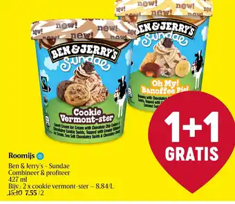 Delhaize Ben & Jerry's - Sundae Roomijs aanbieding