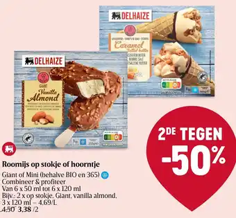 Giant of Mini Roomijs op Stokje of Hoorntje