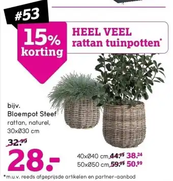 Leen Bakker Bloempot steef aanbieding