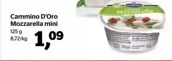 Spar Cammino d'oro mozzarella mini 125 g aanbieding