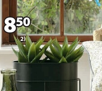 Jysk Steinar kunstplant aanbieding