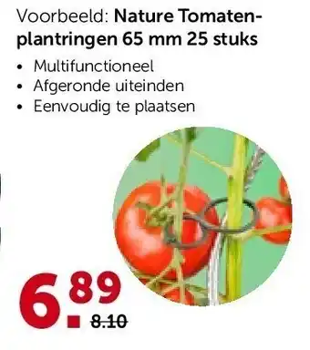 AVEVE Nature tomatenplantringen 65 mm 25 stuk aanbieding
