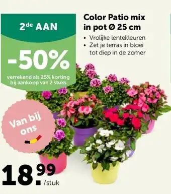 AVEVE Color patio mix in pot ø 25 cm aanbieding