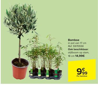 Carrefour Bamboe aanbieding