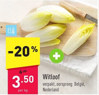 ALDI Witloof per kg aanbieding