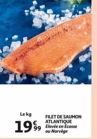 Filet De Saumon Atlantique