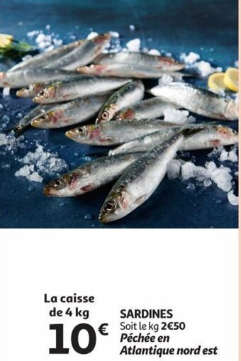Auchan Sardines 4kg aanbieding